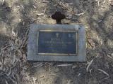 image of grave number 558520